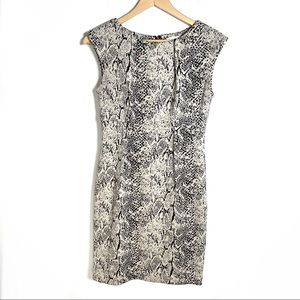 Calvin Klein snake print knitted sheath dress